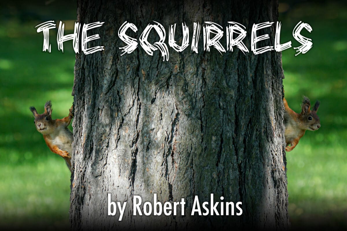 the-squirrels-play