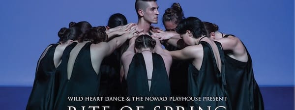 rite of spring copy