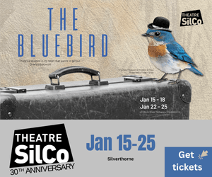 The Bluebird 1 Silco Bluebird leaderboard 300 x 250