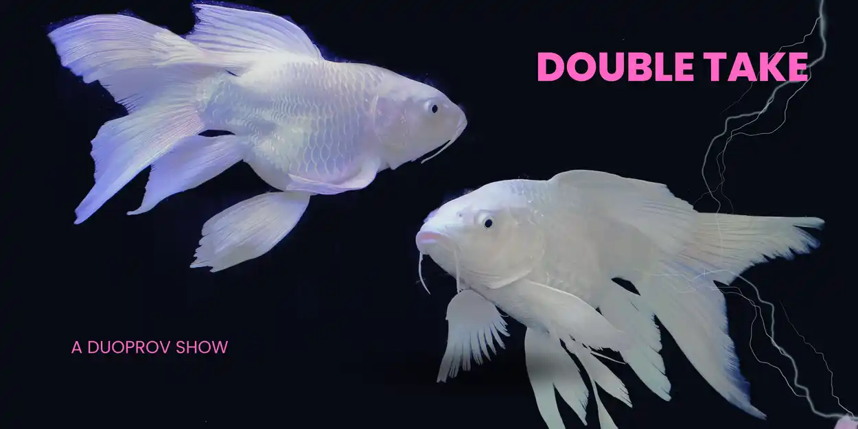 double take