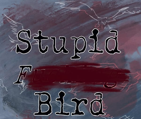Stupid bird 1